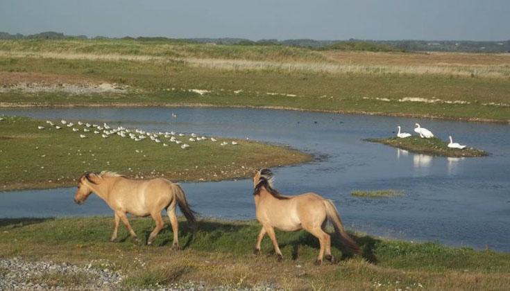 Camping de la baie de Somme