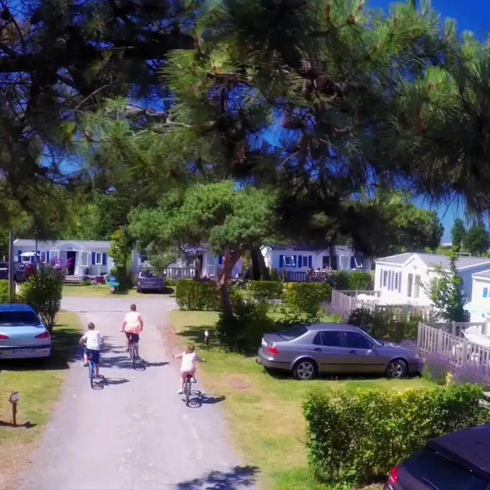 Un sentier littoral relie le camping à la plage de Cayeux-sur-Mer