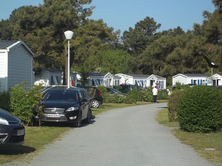 Allée de mobil-homes avec voitures et arbres.
