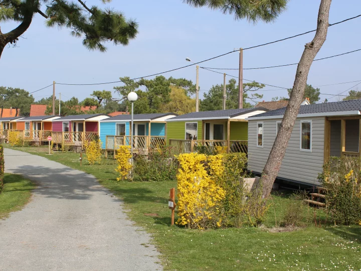Chemin bordé de chalets colorés au printemps.