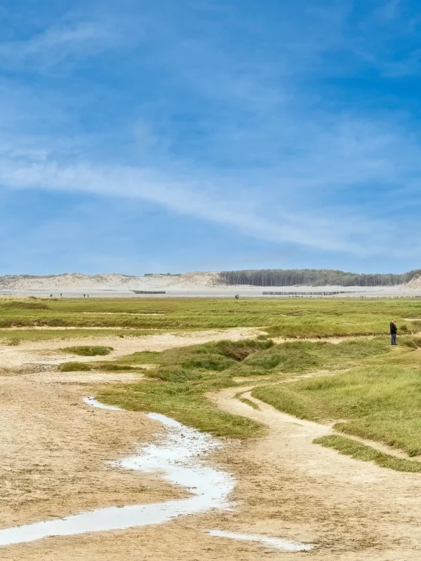 Paysage de dunes avec des personnes se promenant.