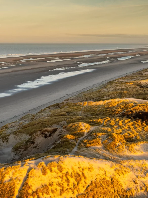 Plage au coucher du soleil avec dunes dorées.