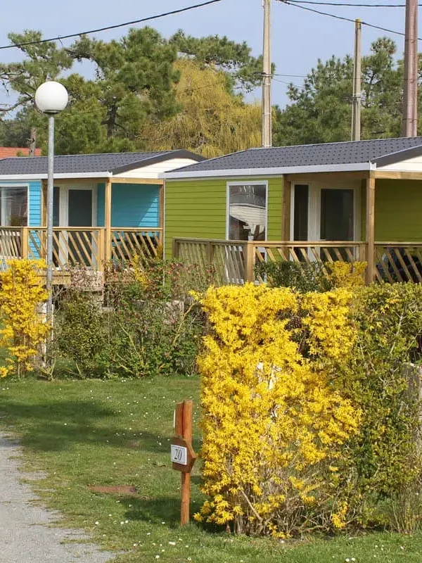 Chalets colorés le long d'un chemin verdoyant.