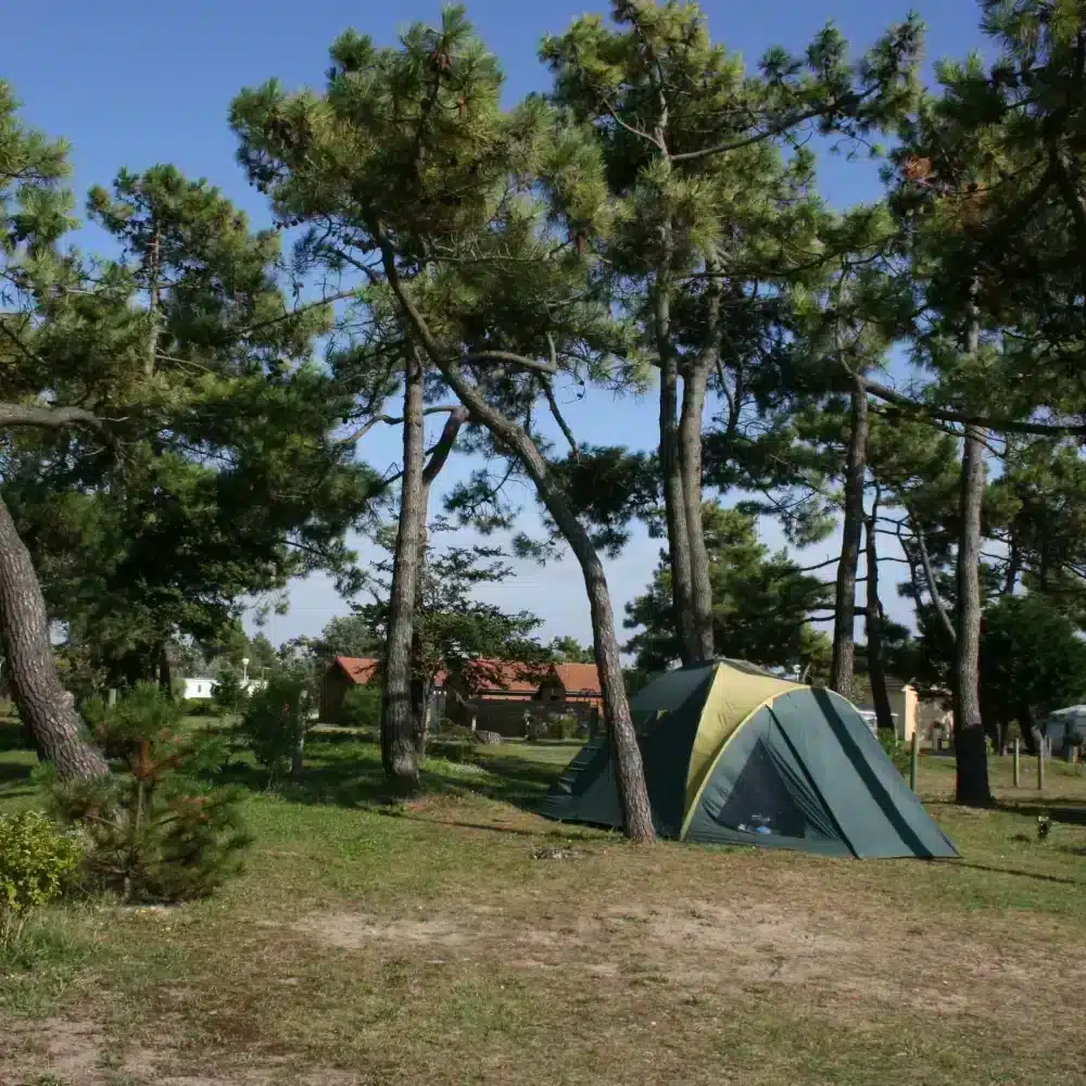 Tente installée sous des arbres dans un camping.