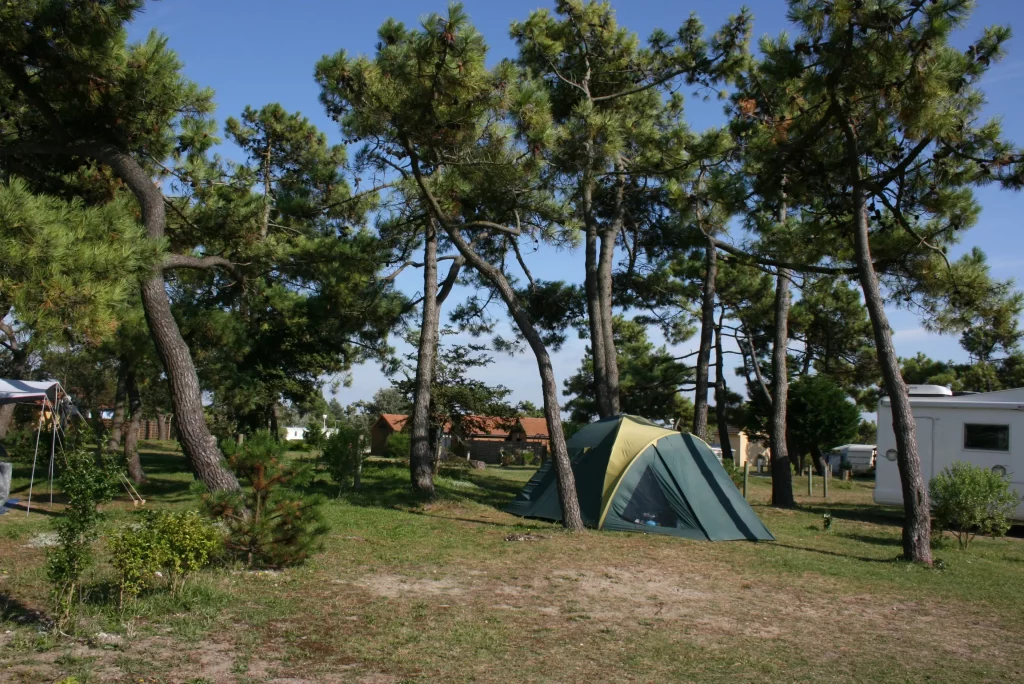 EMPLACEMENT TOURISME + ELEC