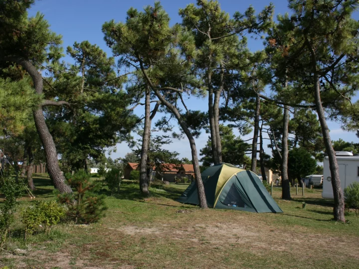 Tente installée sous des arbres dans un camping.