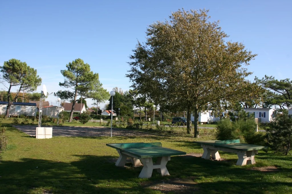 Espace vert avec tables et arbres sous le ciel bleu.