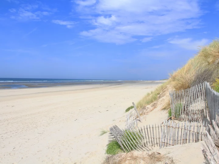 Plage sablonneuse avec dunes et ciel bleu.