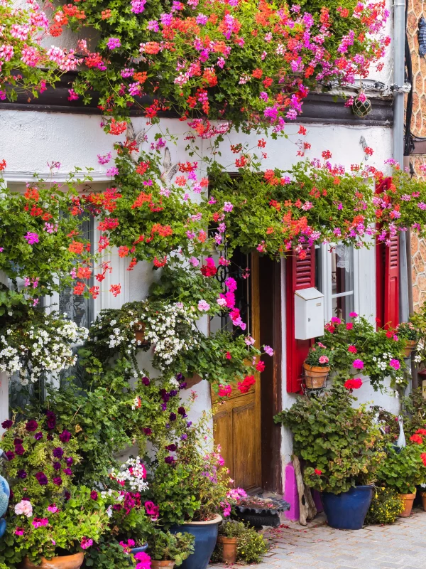 Façade colorée avec fleurs éclatantes et portes décoratives.